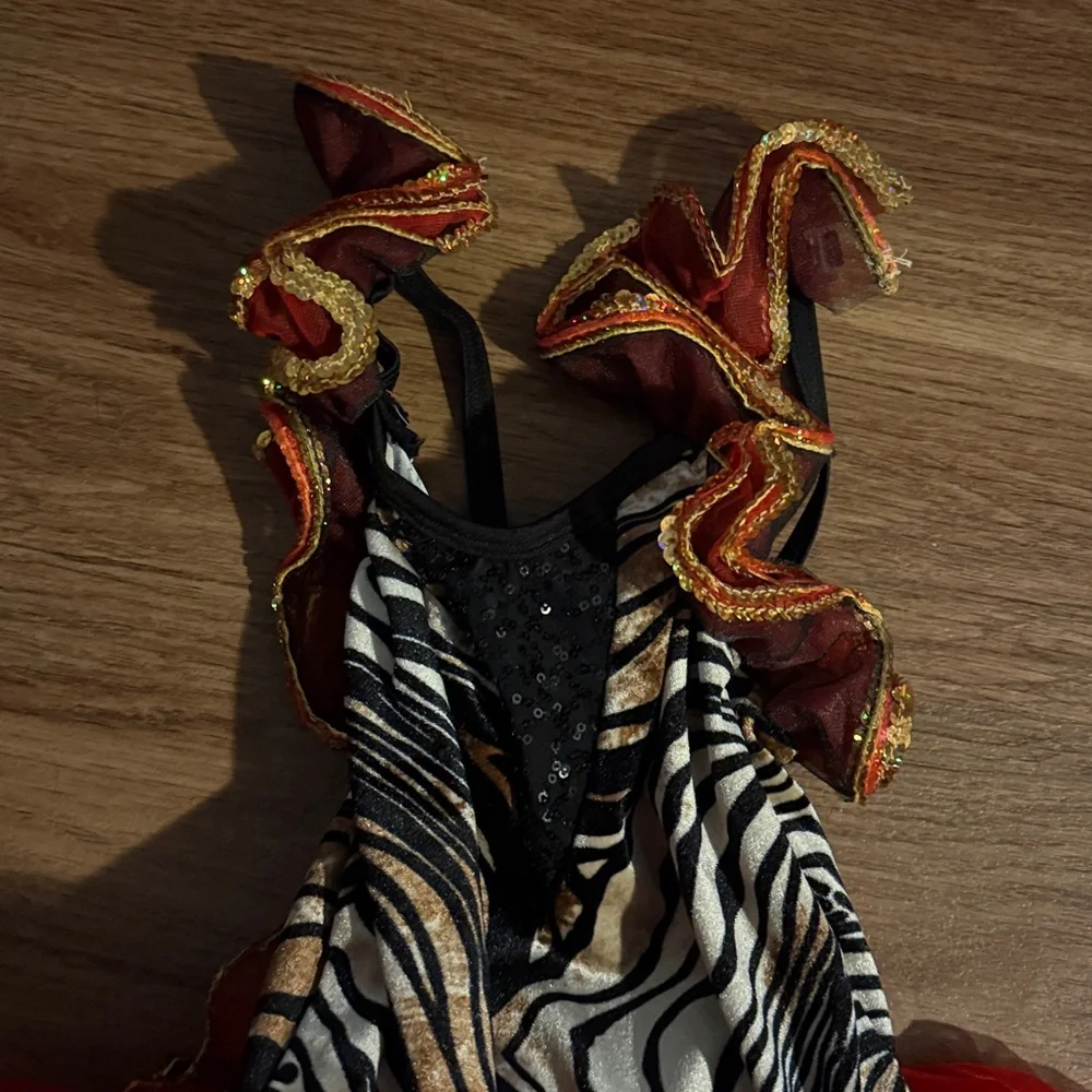 Zebra Print Kids dance dress with Red Tutu dance costume